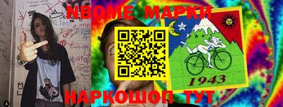ешки Сланцы