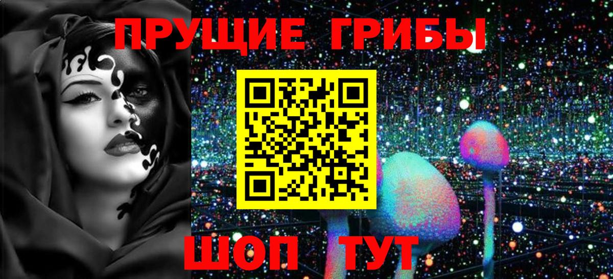 Галлюциногенные грибы ЛСД  Галлюциногенные грибы Psilocybine cubensis  Нововоронеж  Вход с VPN 